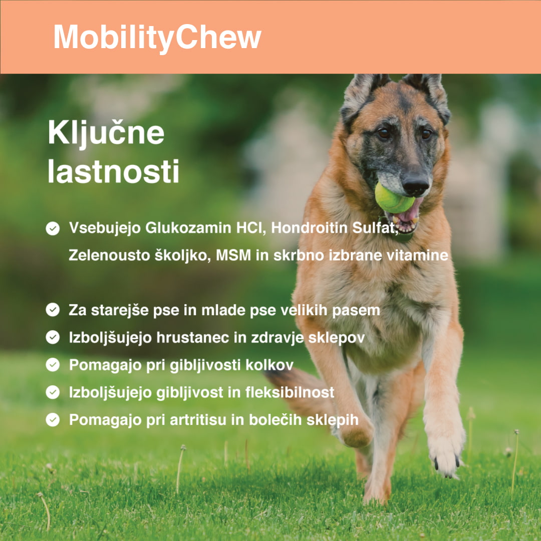 Mobility Chew ključne lastnosti