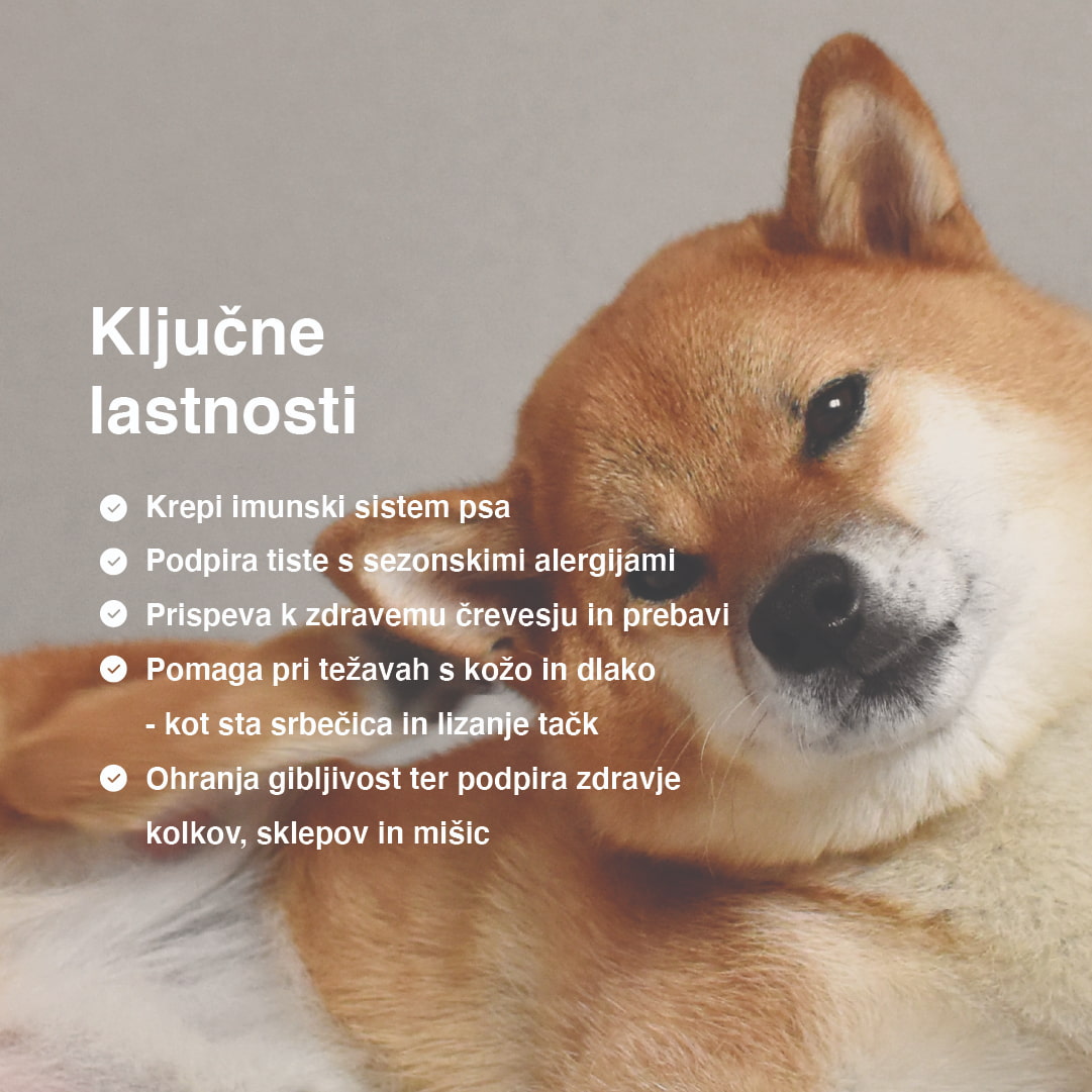 Multi Chew ključne lastnosti