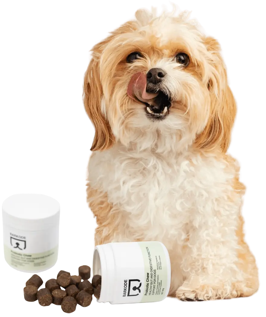 Pes s Probiotic Chews