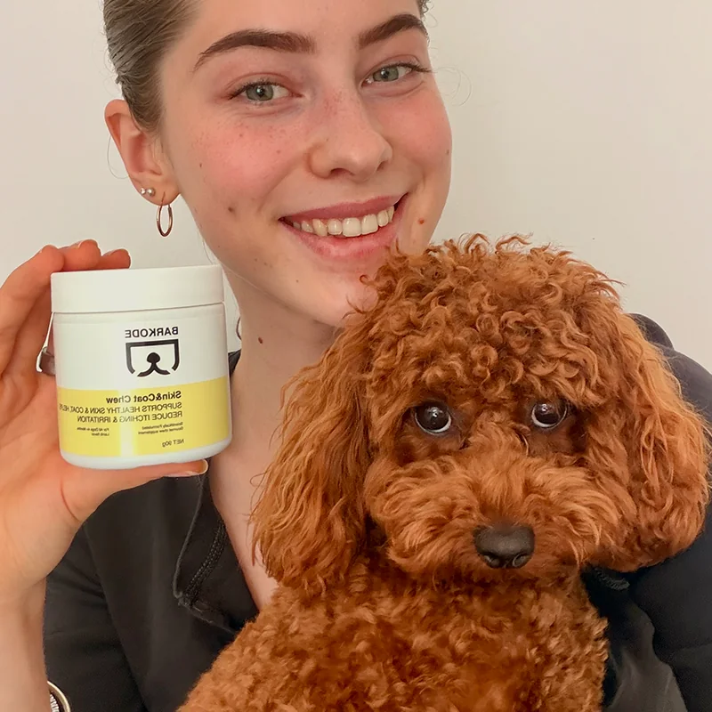Lastnica drži lonček Skin & Coat Chew ob svojem rdečem pritlikavem pudlju
